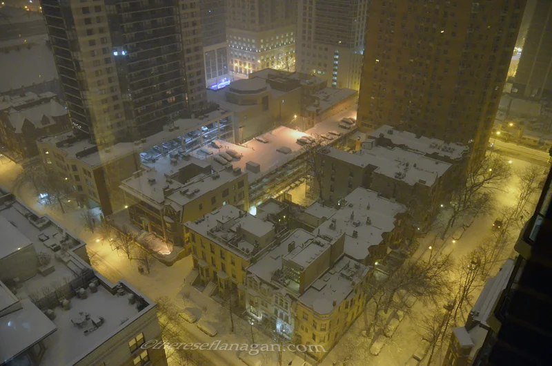 Winter Night on Chestnut 2014
