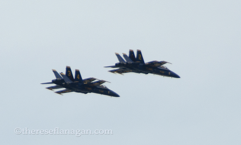 4 Blue Angels sm.jpg