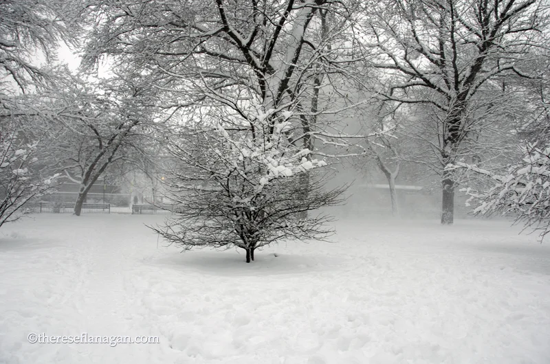 Washington Square Park - February 1, 20155