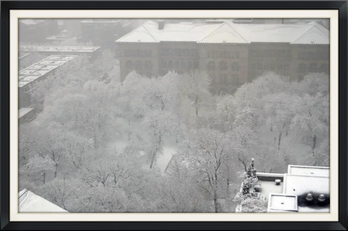 February Snow in Chicago