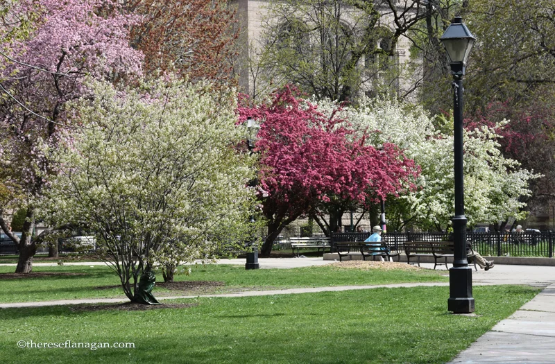 Washington Square Park, Chicago - Spring 2015