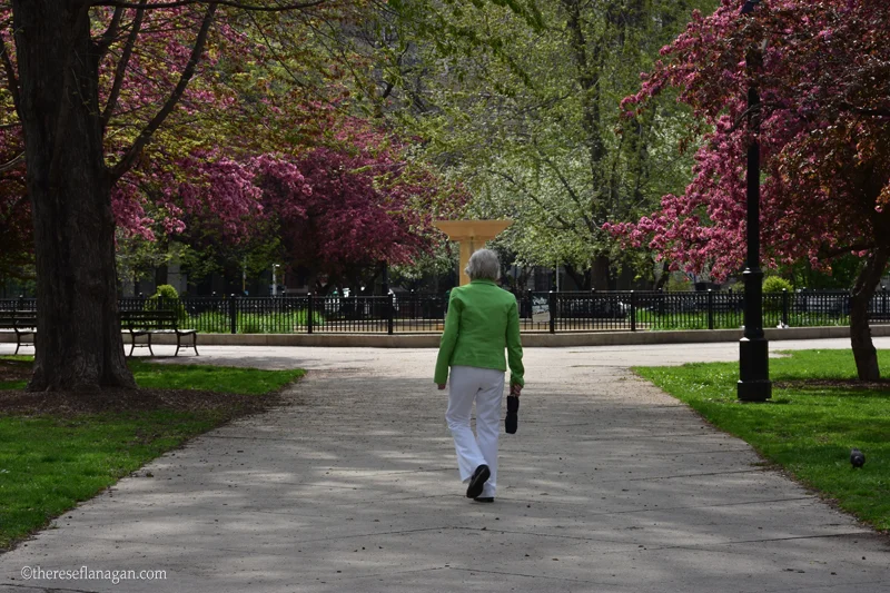 Washington Square Park - Spring 2015