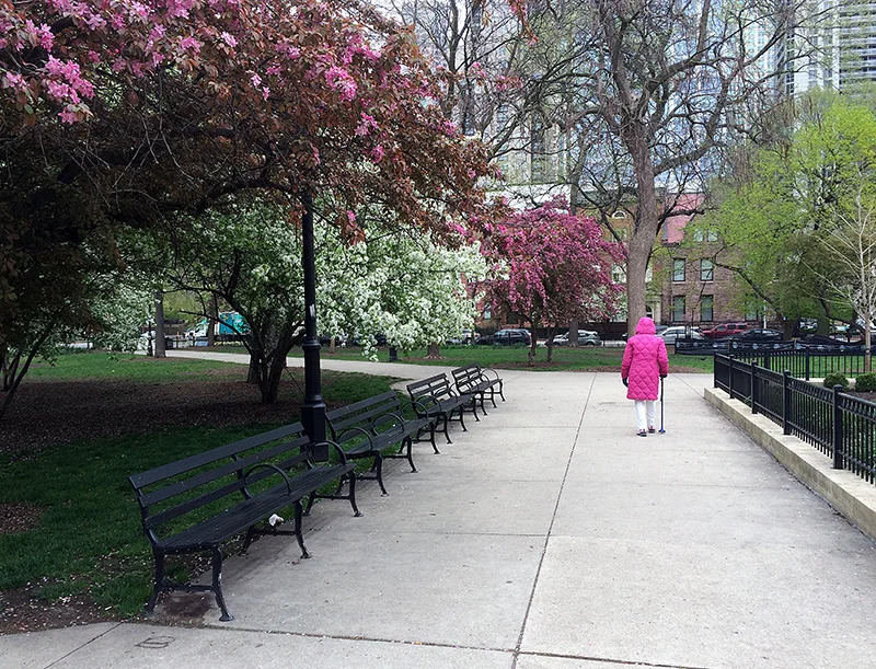 Spring Chill