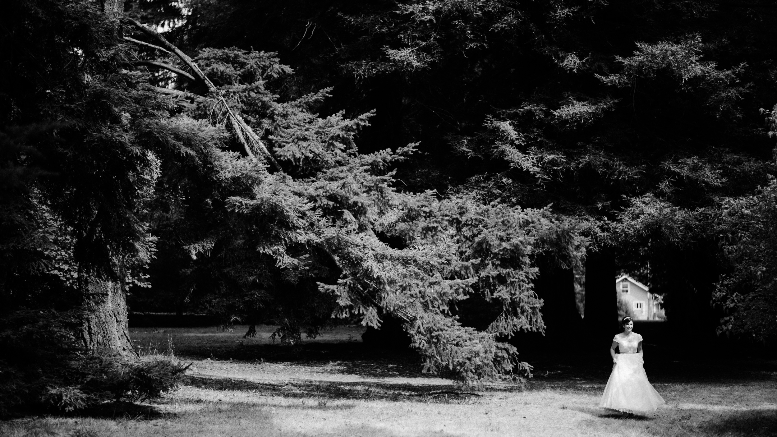 ryan-flynn-photography-sodo-park-seattle-wes-anderson-wedding-010.JPG