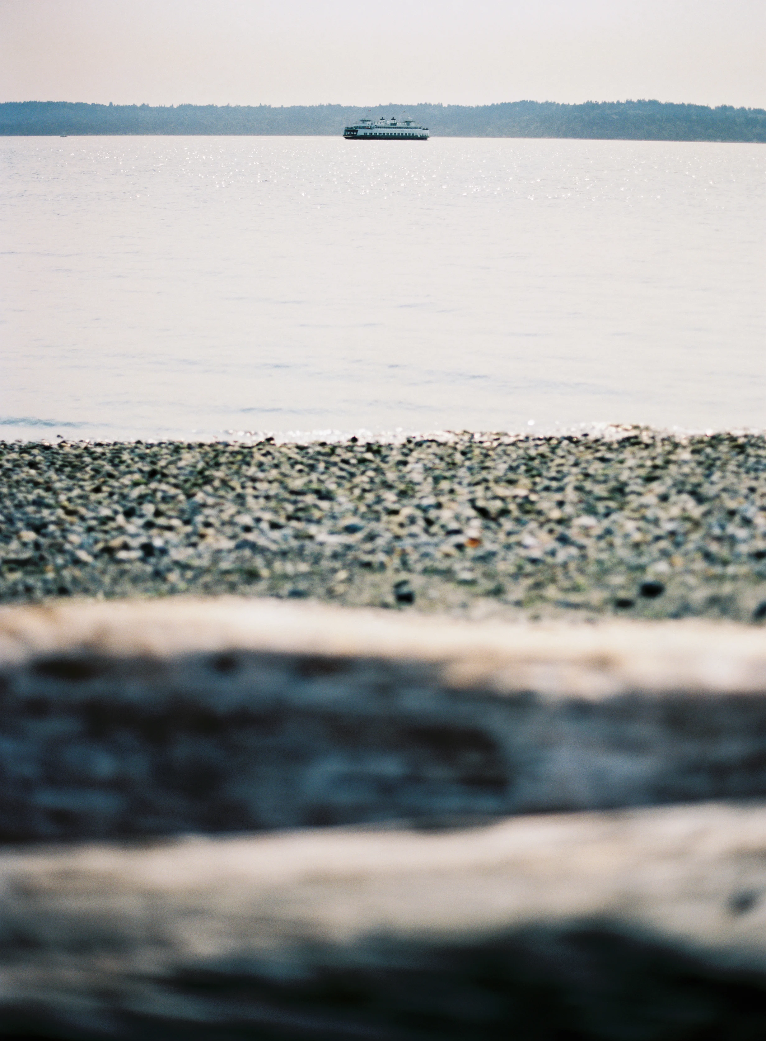 ryan-flynn-photography-sodo-park-seattle-wes-anderson-wedding-027.JPG