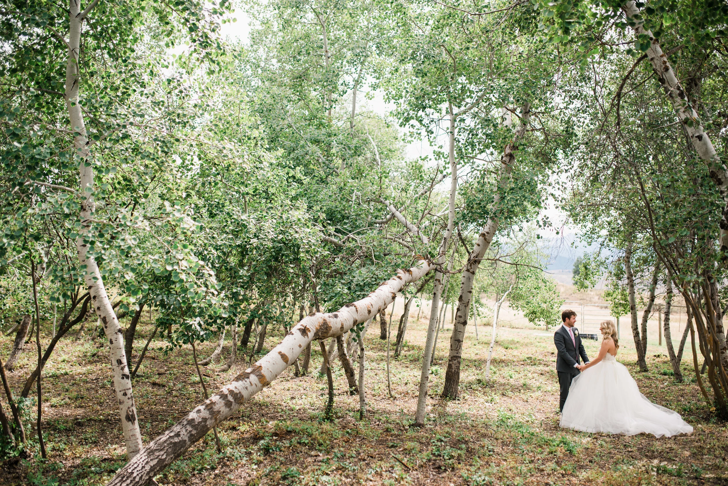 ryan-flynn-photography-winthrop-wedding-spring-creek-ranch-030.JPG