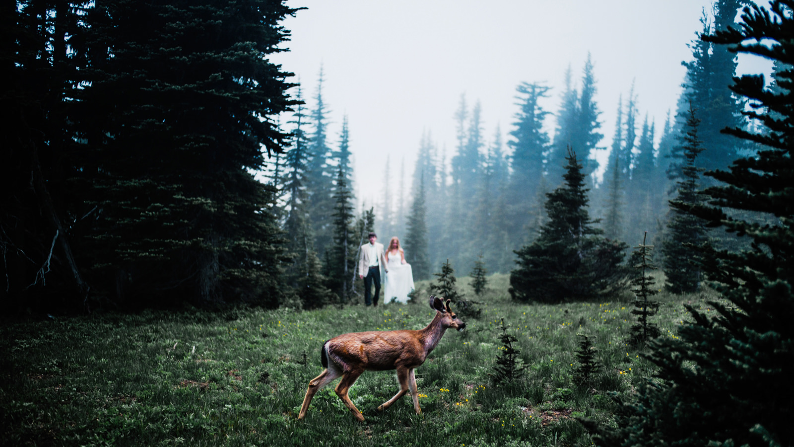 004-epic-foggy-wedding-photo-with-deer-at-mt-rainier-national-park-by-ryan-flynn.jpg