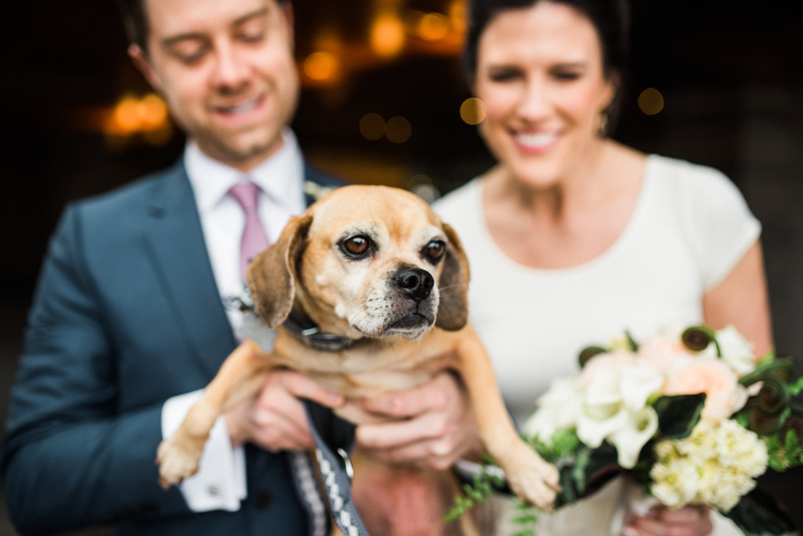 091-the-four-seasons-seattle-wedding-with-dog.jpg