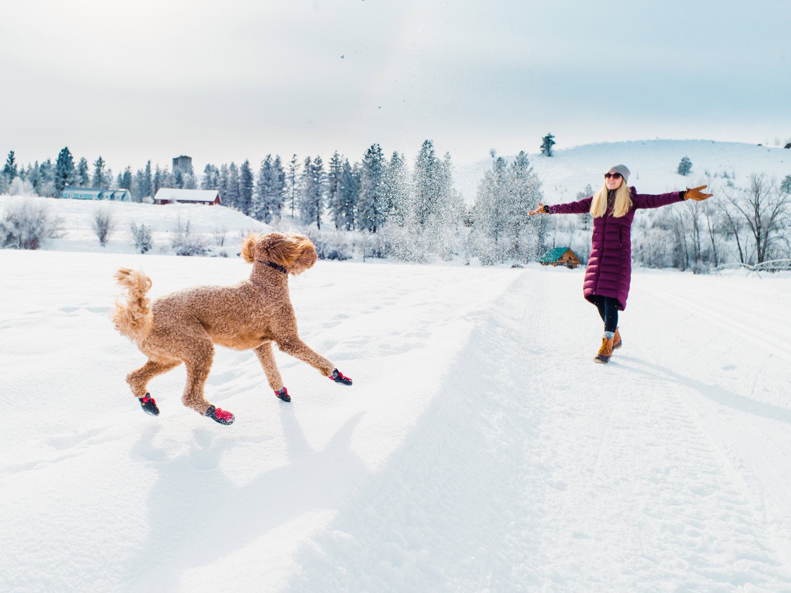 232-woman-and-goldendoodle-at-spring-creek-ranch-in-the-winter-methow-valley.jpg