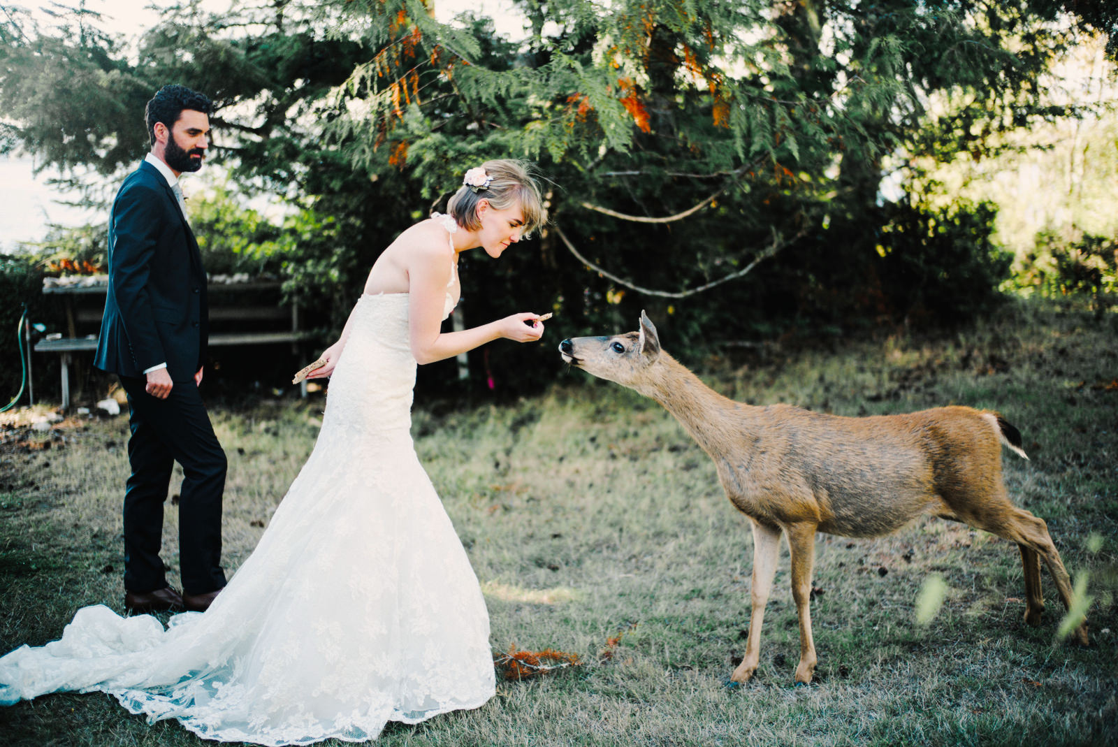248-bride-feeding-deer-at-wedding-on-herron-island-washington.jpg