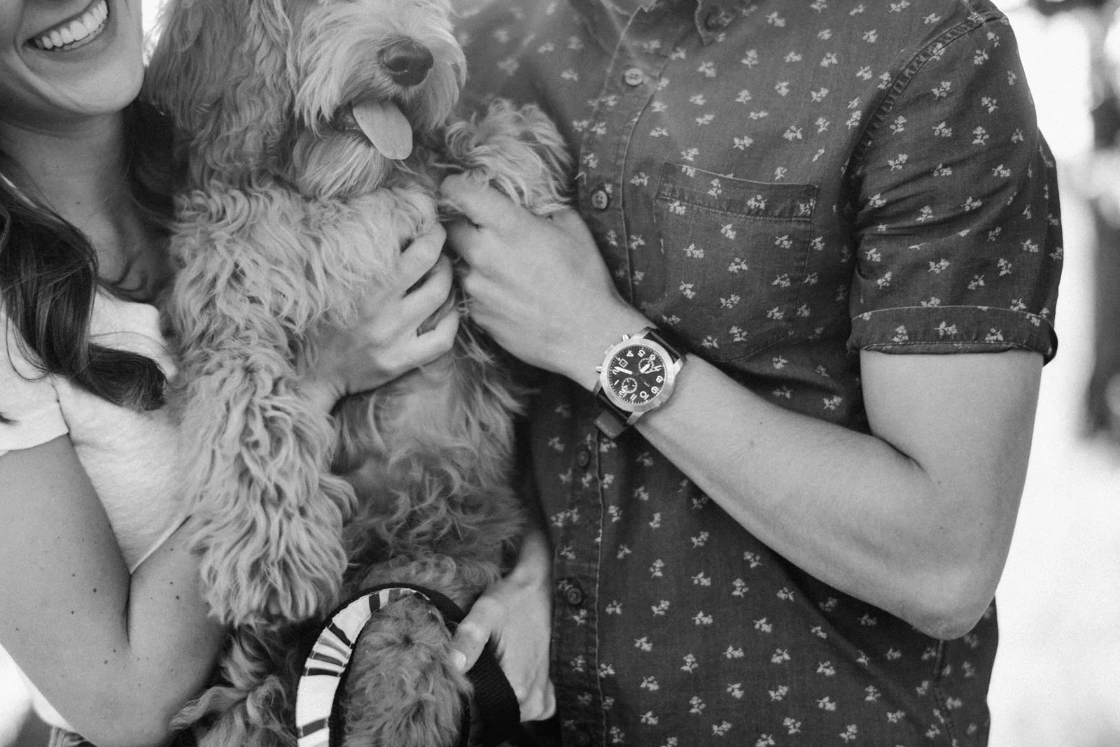 043-summery-engagement-session-with-a-goldendoodle-at-discovery-park-on-film.jpg