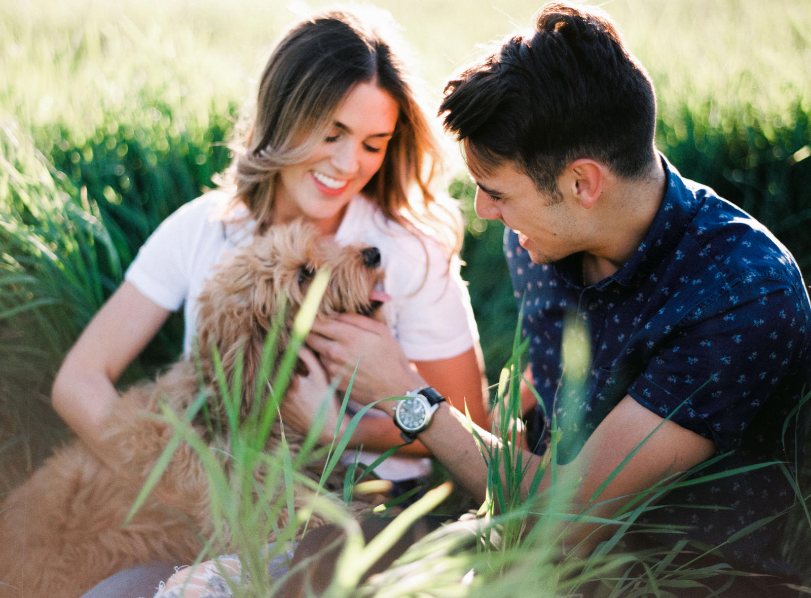 053-summery-engagement-session-with-a-goldendoodle-at-discovery-park-on-film.jpg
