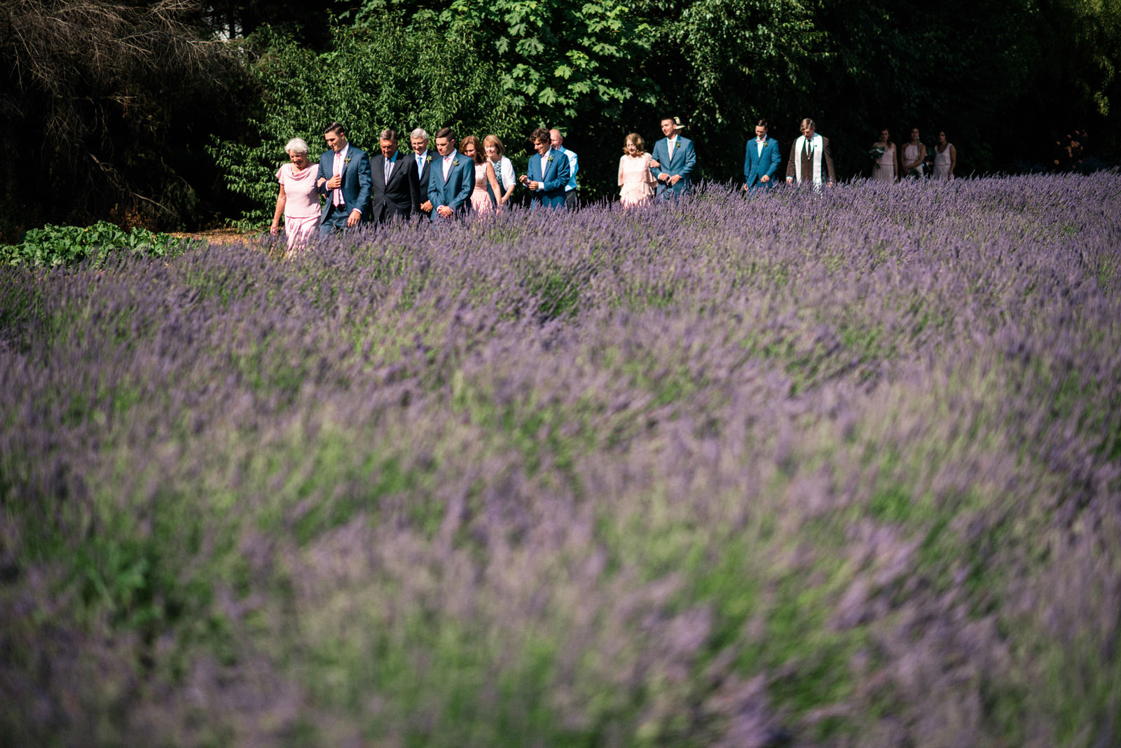 034-woodinville-lavendar-farm-wedding-with-golden-glowy-photos.jpg