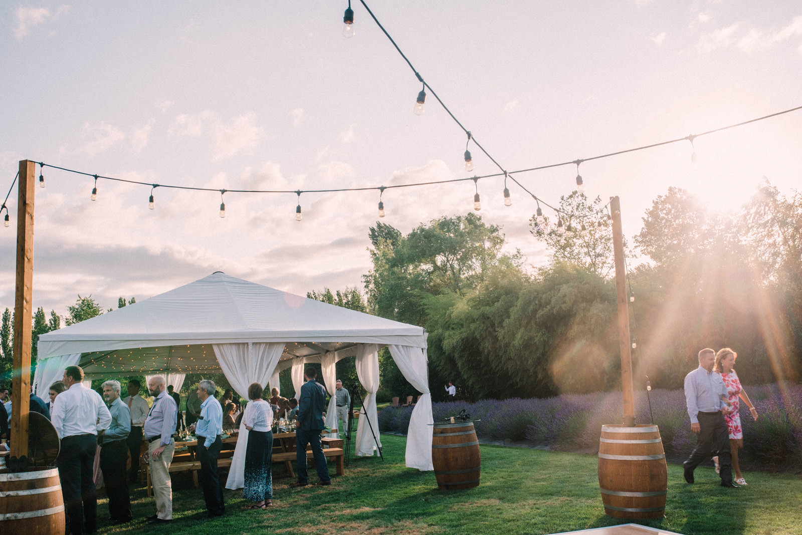 073-woodinville-lavendar-farm-wedding-with-golden-glowy-photos.jpg