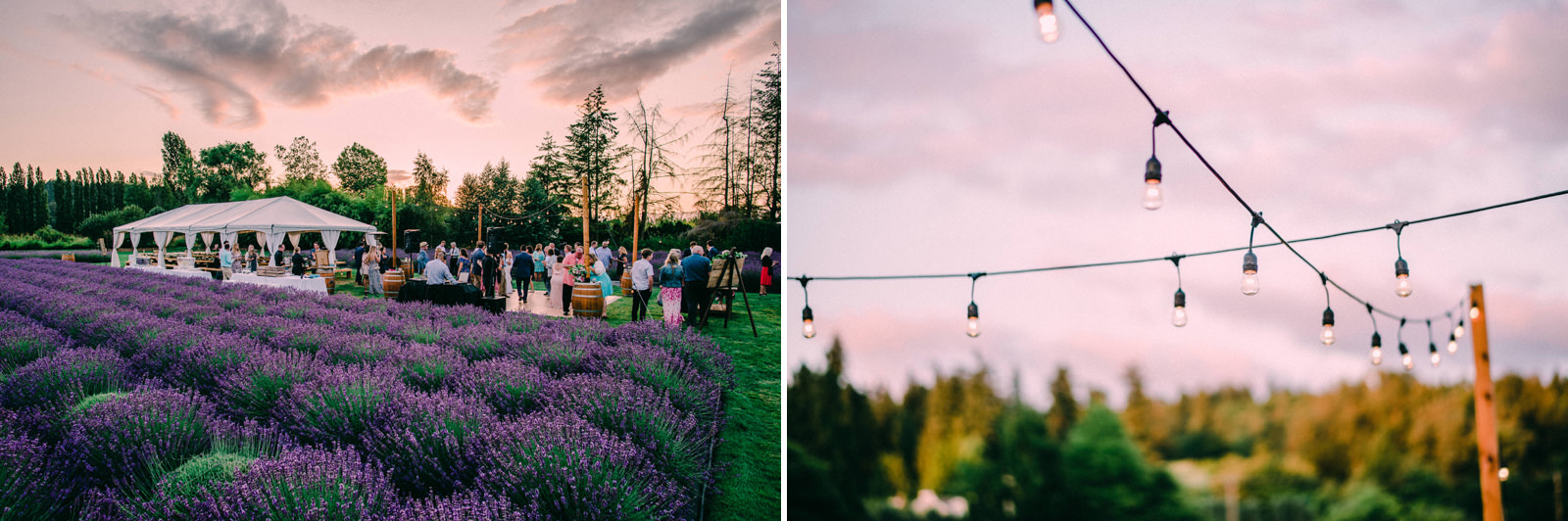 105-woodinville-lavendar-farm-wedding-with-golden-glowy-photos.jpg