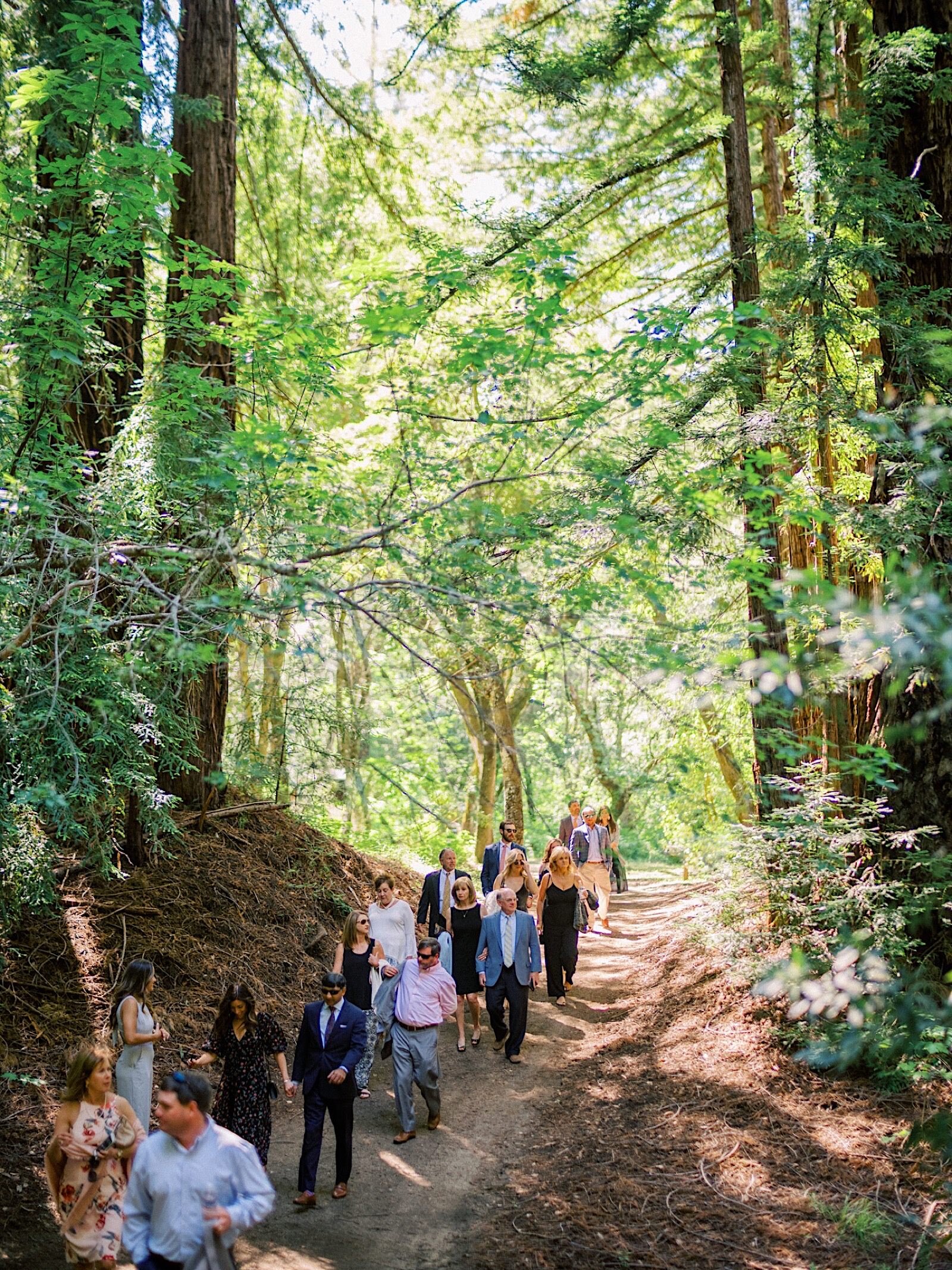 25_for_Redwoods_details_ceremony_by_greenery_Organic_and_Intimate_Invitation_Wedding_sinclair_moore.jpg