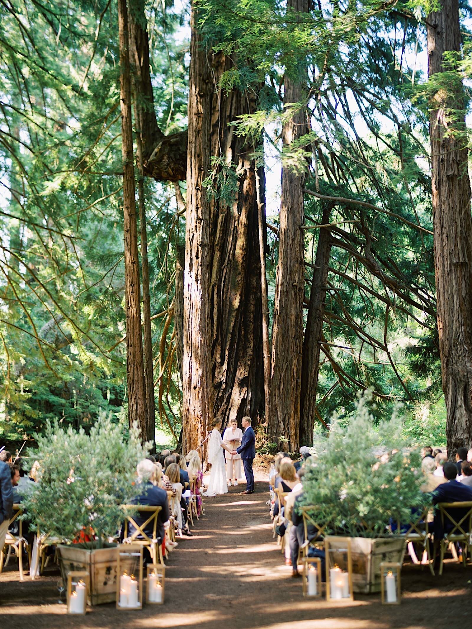 33_santa_In_ceremony_preserve_With_at_grove_and_Intimate_lucia_sinclair_Redwood_moore.jpg