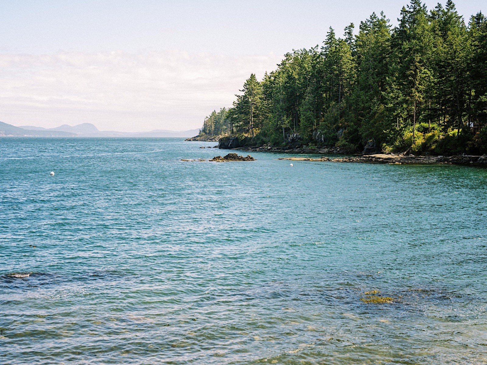 01_Island_On_farm_san_juan_by_Wedding_photographer_Orcas_best_Woodside.jpg