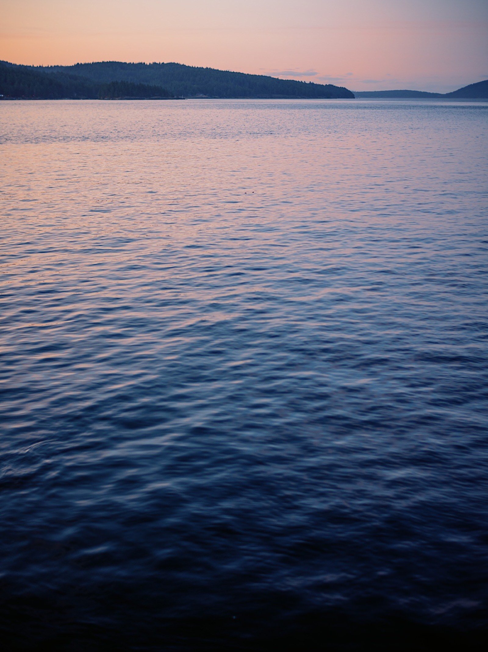 87_guests_sunset_Views_from_Island_Wedding_With_the_enjoying_Outdoor_Orcas.jpg