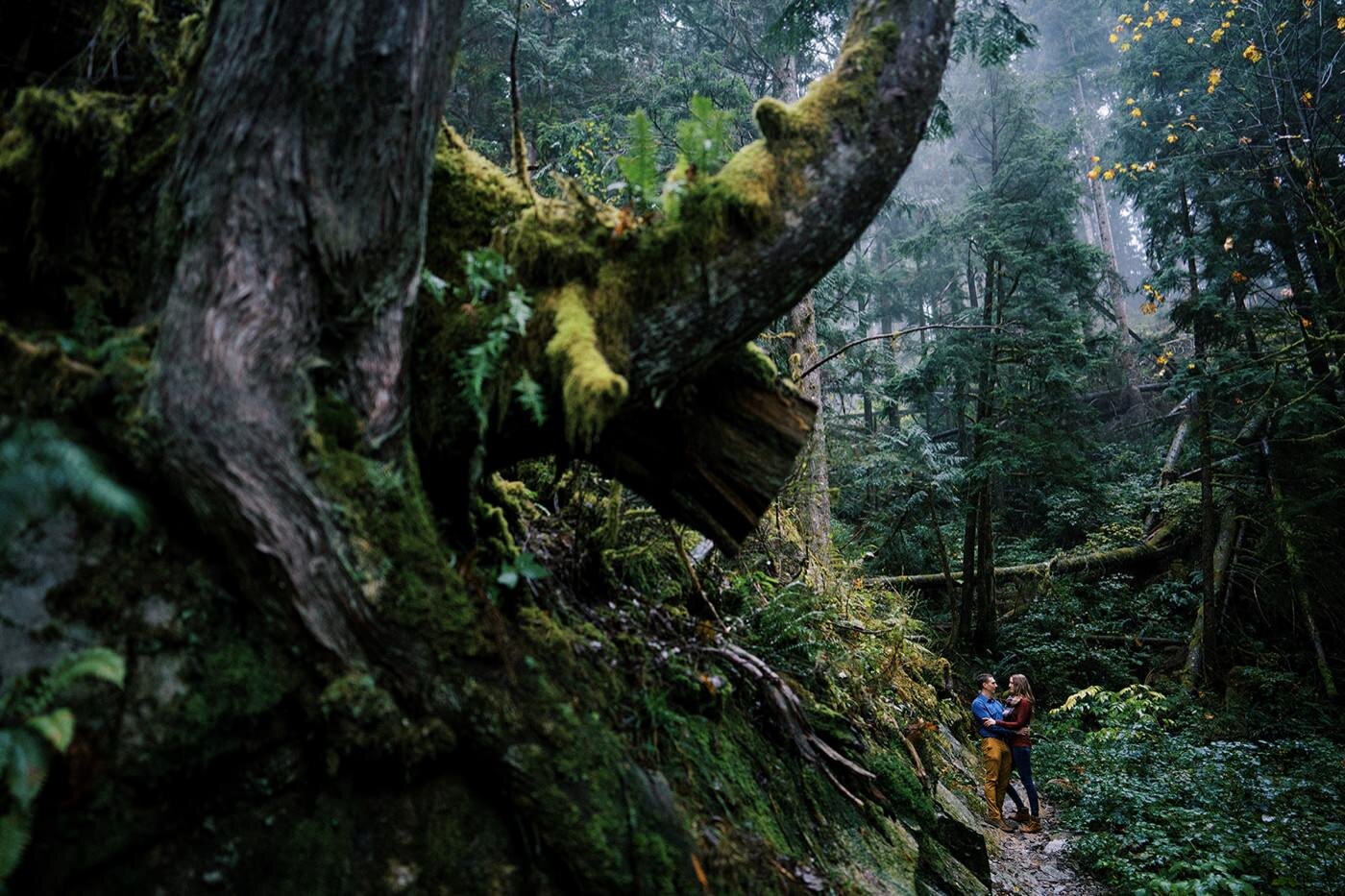 020_rainy anniversary portrait session in the snoqualmie forest.jpg