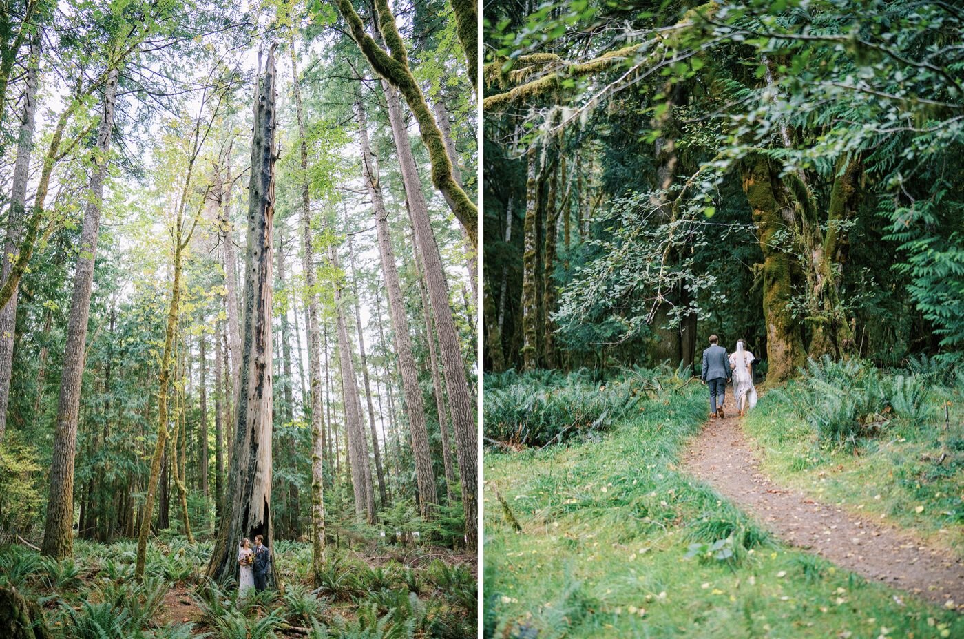 066_olympic national park elopement near lake crescent by best washington elopement photographer.jpg