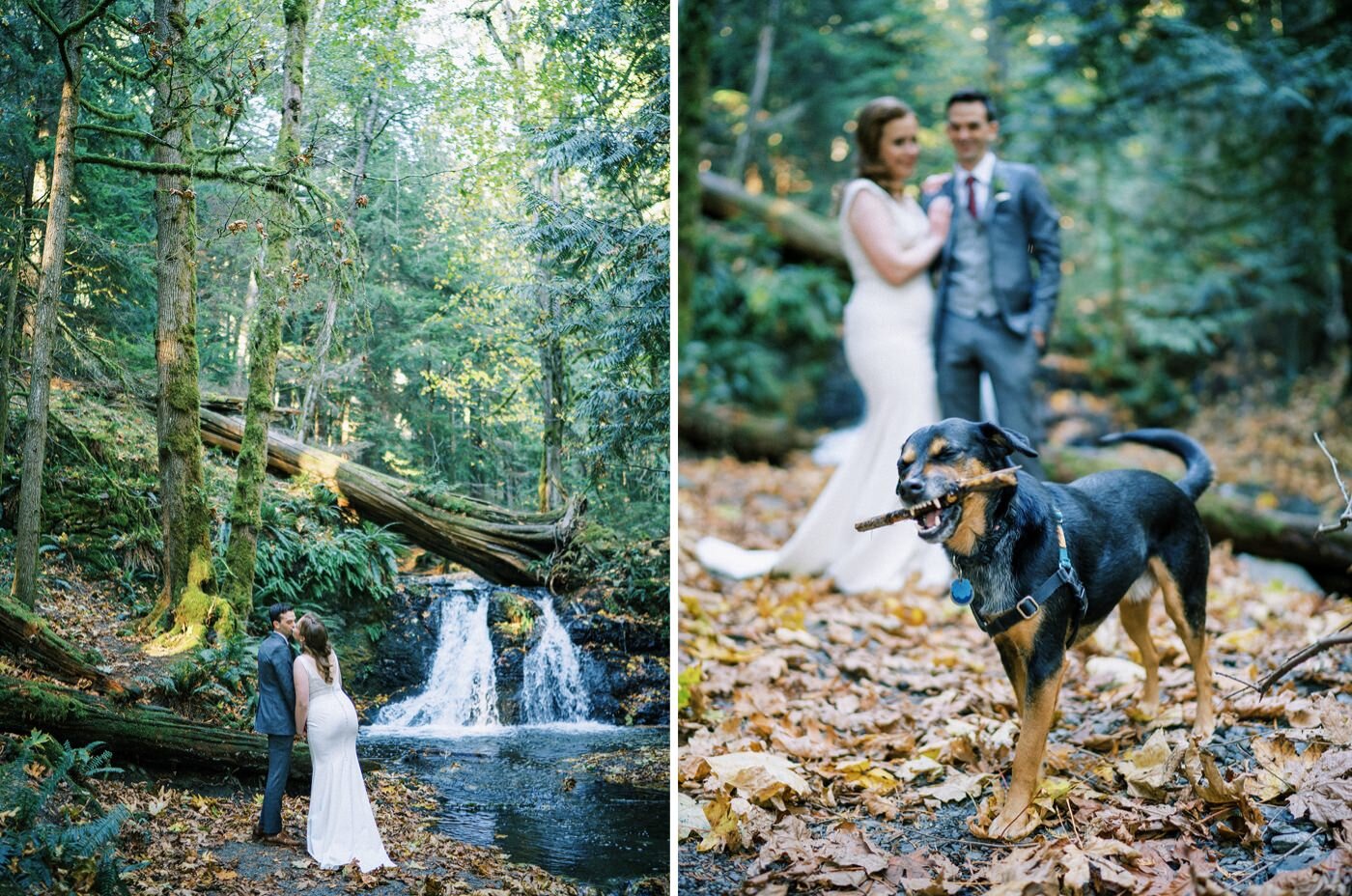 098_emotional orcas island elopement with dog and stylish couple.jpg