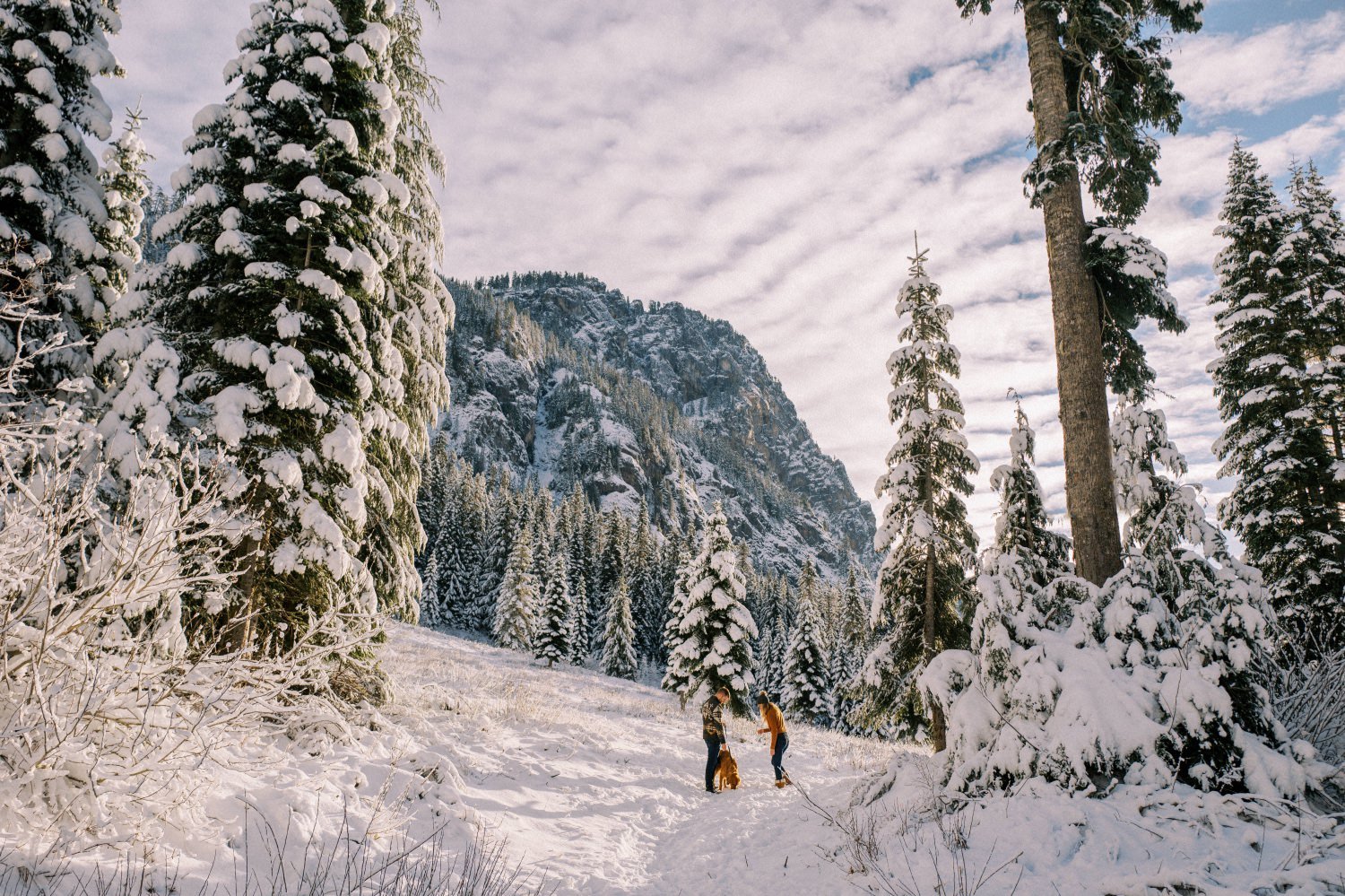 15_Snowy engagement photos at Snoqualmie Pass near Seattle, with a film-like style by Ryan Flynn Photography.jpg