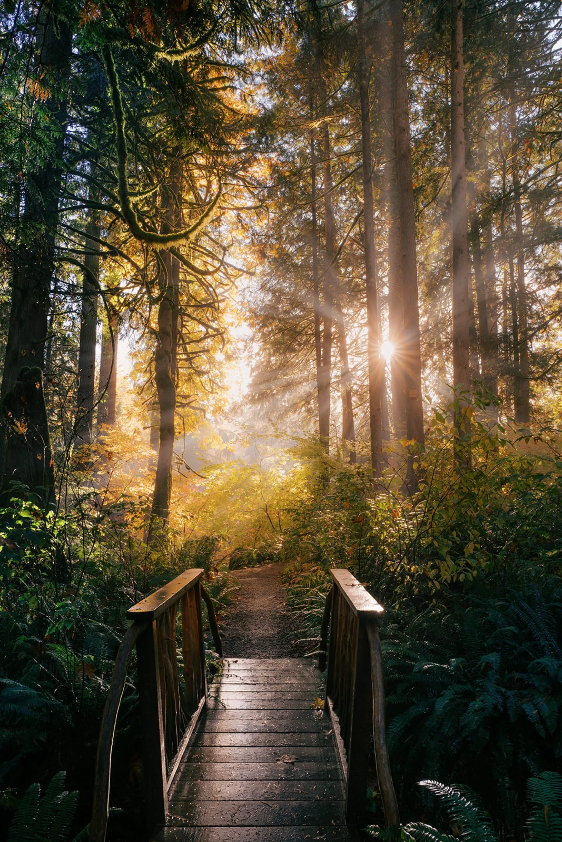 01_Autumn outdoor wedding at Treehouse Point in Issaquah, by best Seattle wedding photographer Ryan Flynn.jpg