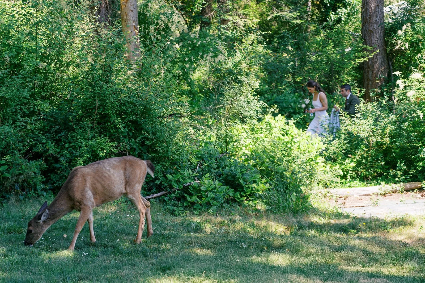 22_Beautiful outdoor wedding at the Captain Whidbey Inn near Seattle by top film wedding photographer ryan flynn.jpg