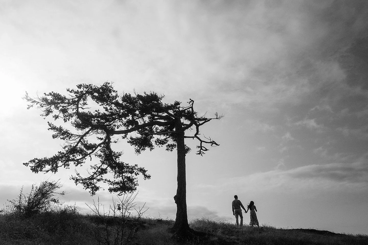 Probably in my top 10 favorite trees in Washington. If you know, you know.
.
.
.
#thatonepnwtree #seattleweddingphotographer #seattleelopementphotographer #adventureengagement #LeicaQ