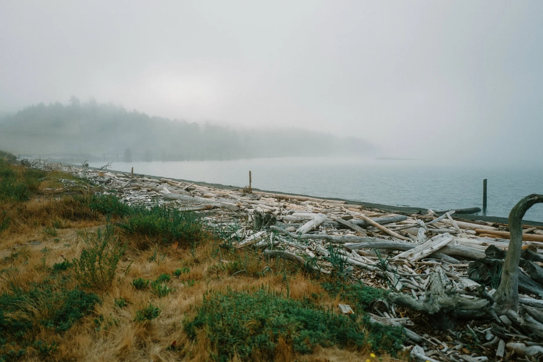 01_A unique pre-wedding mikvah celebration on San Juan Island.jpg