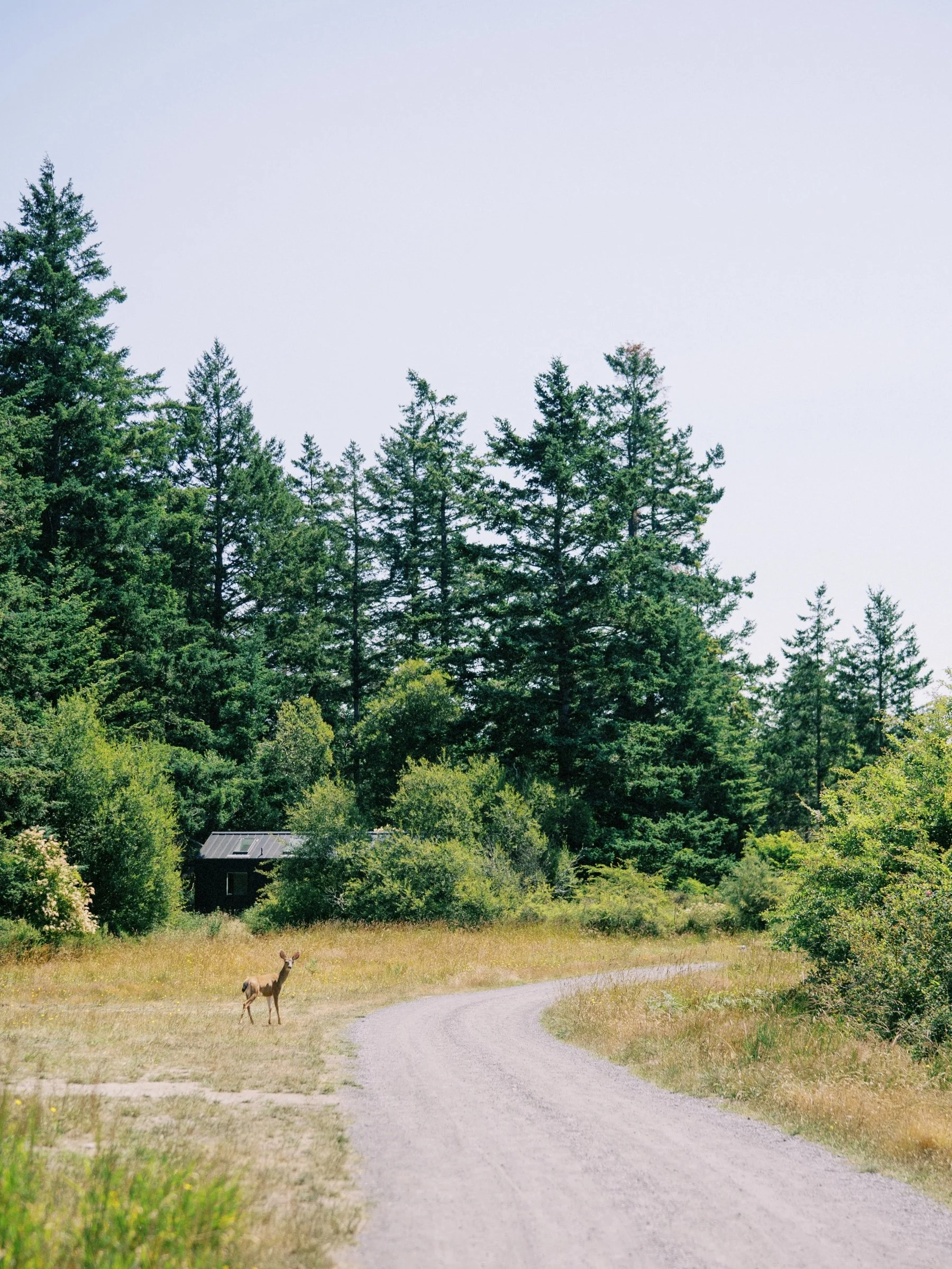07_scenic photographs from san Juan Island, Washington.jpg