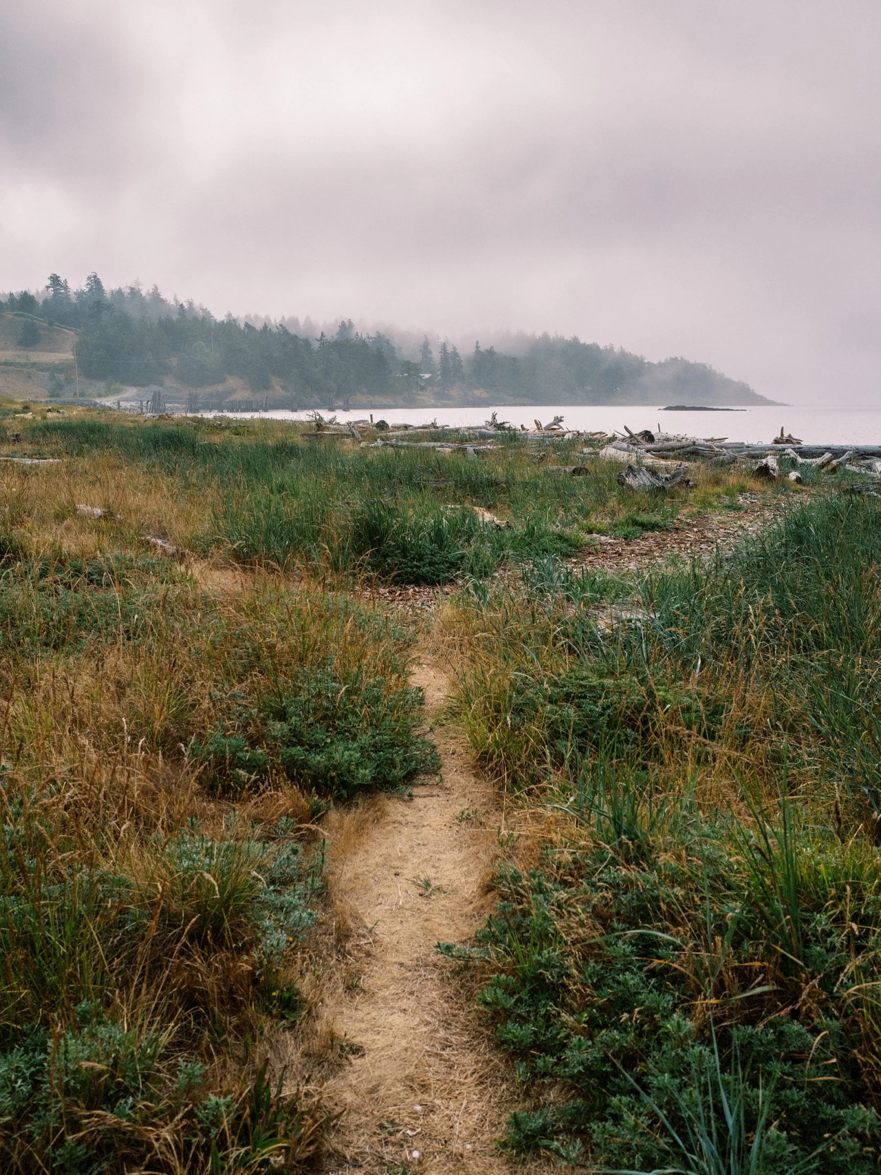 06_scenic photographs from san Juan Island, Washington.jpg