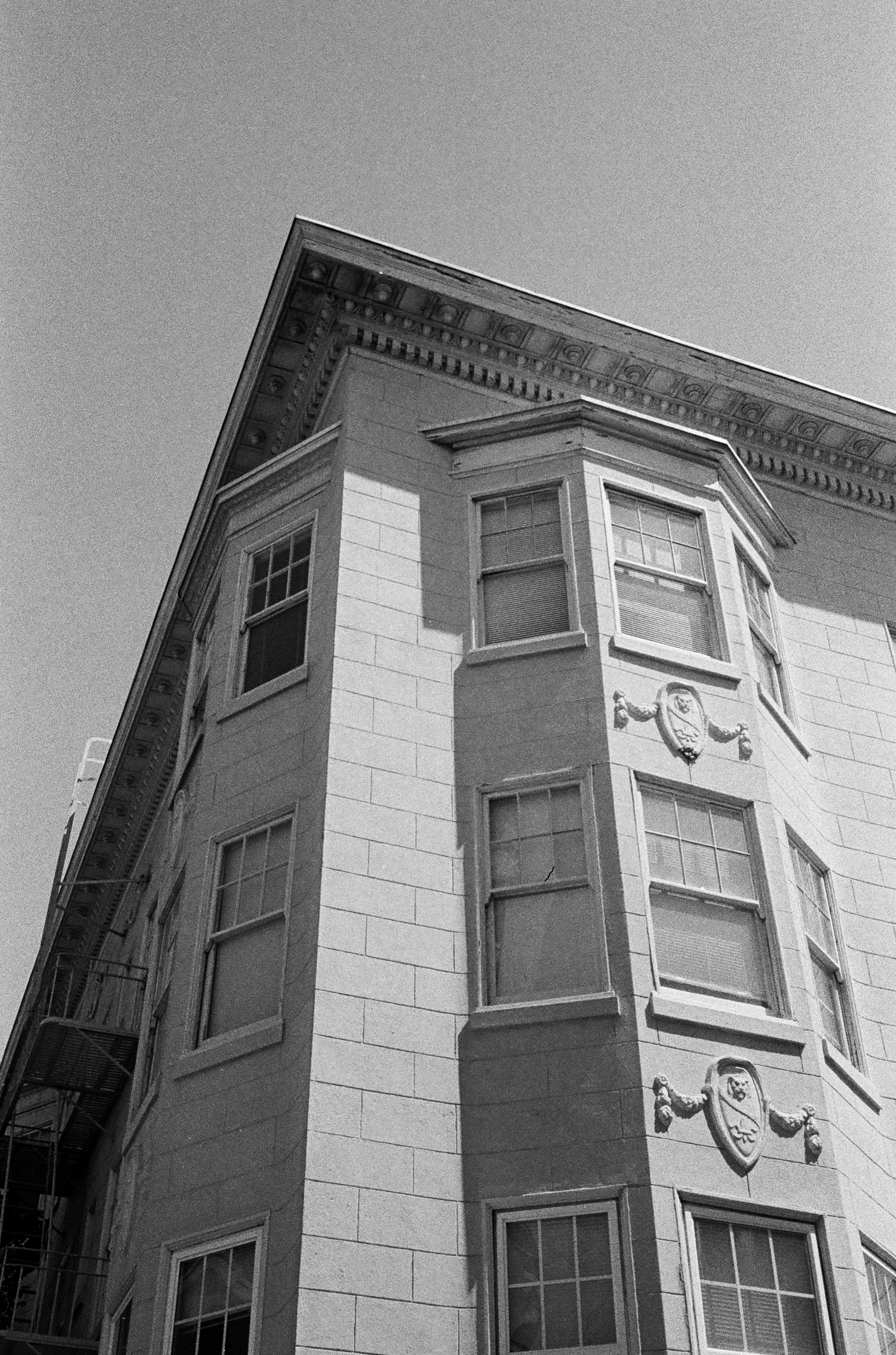 Scan81.JPG
