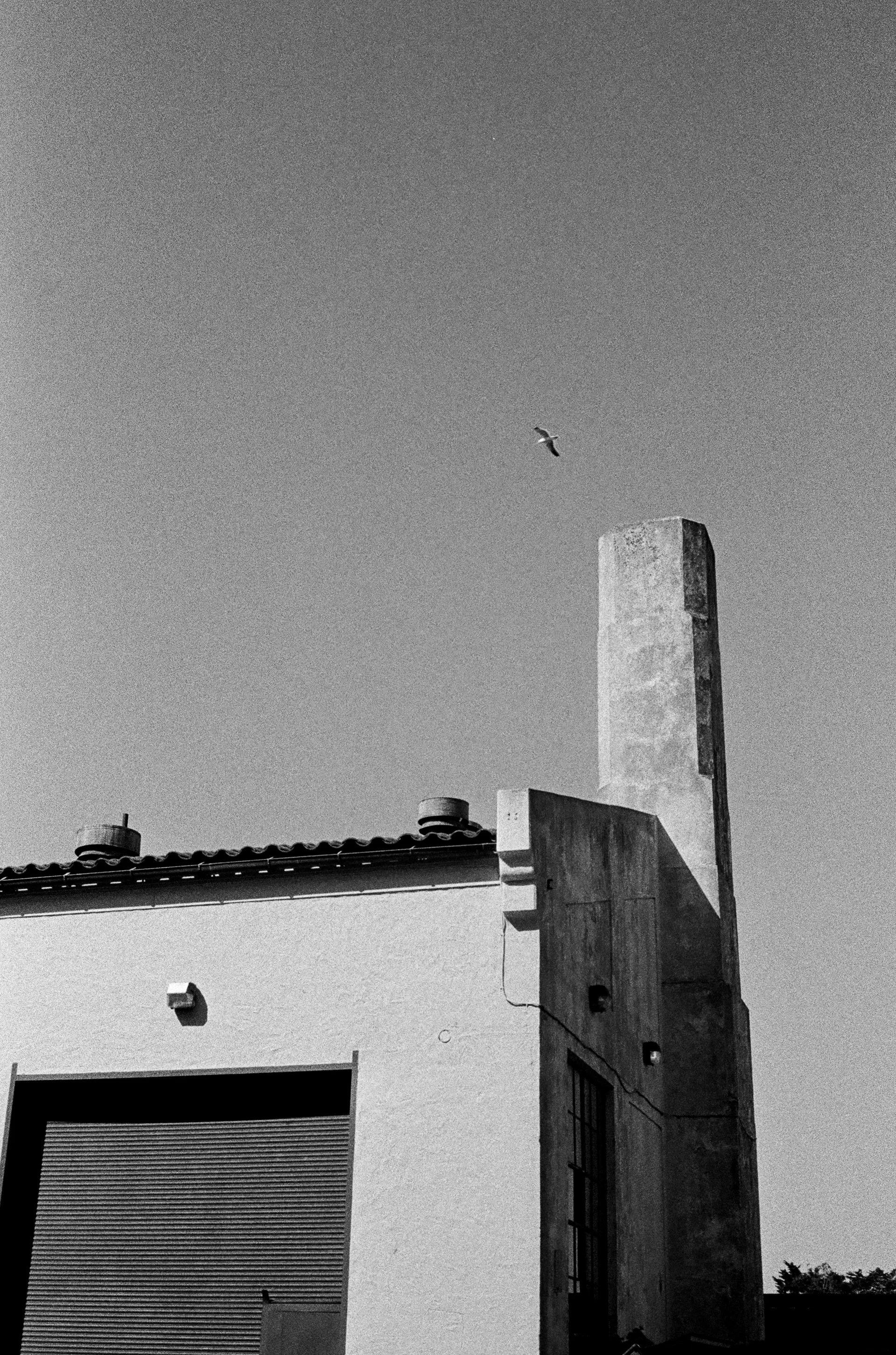 Scan243.JPG