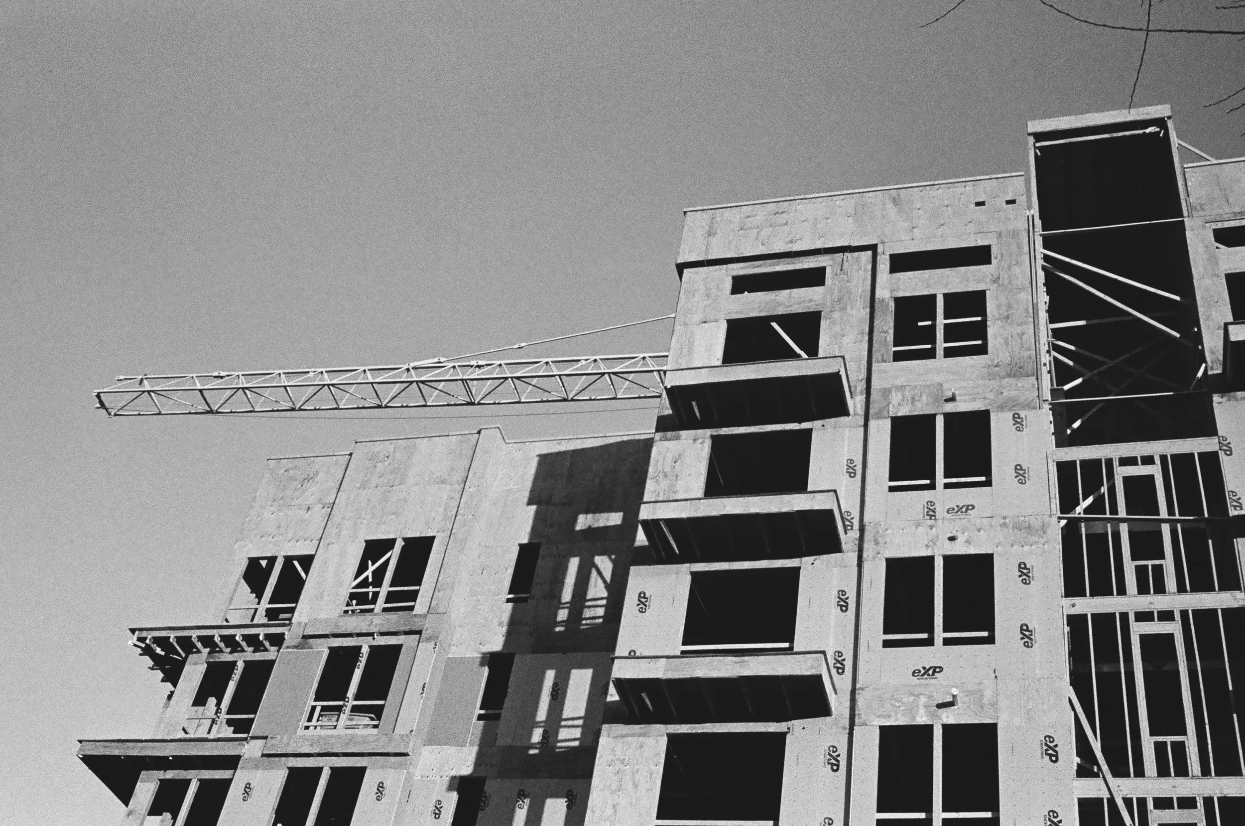 Scan292.JPG
