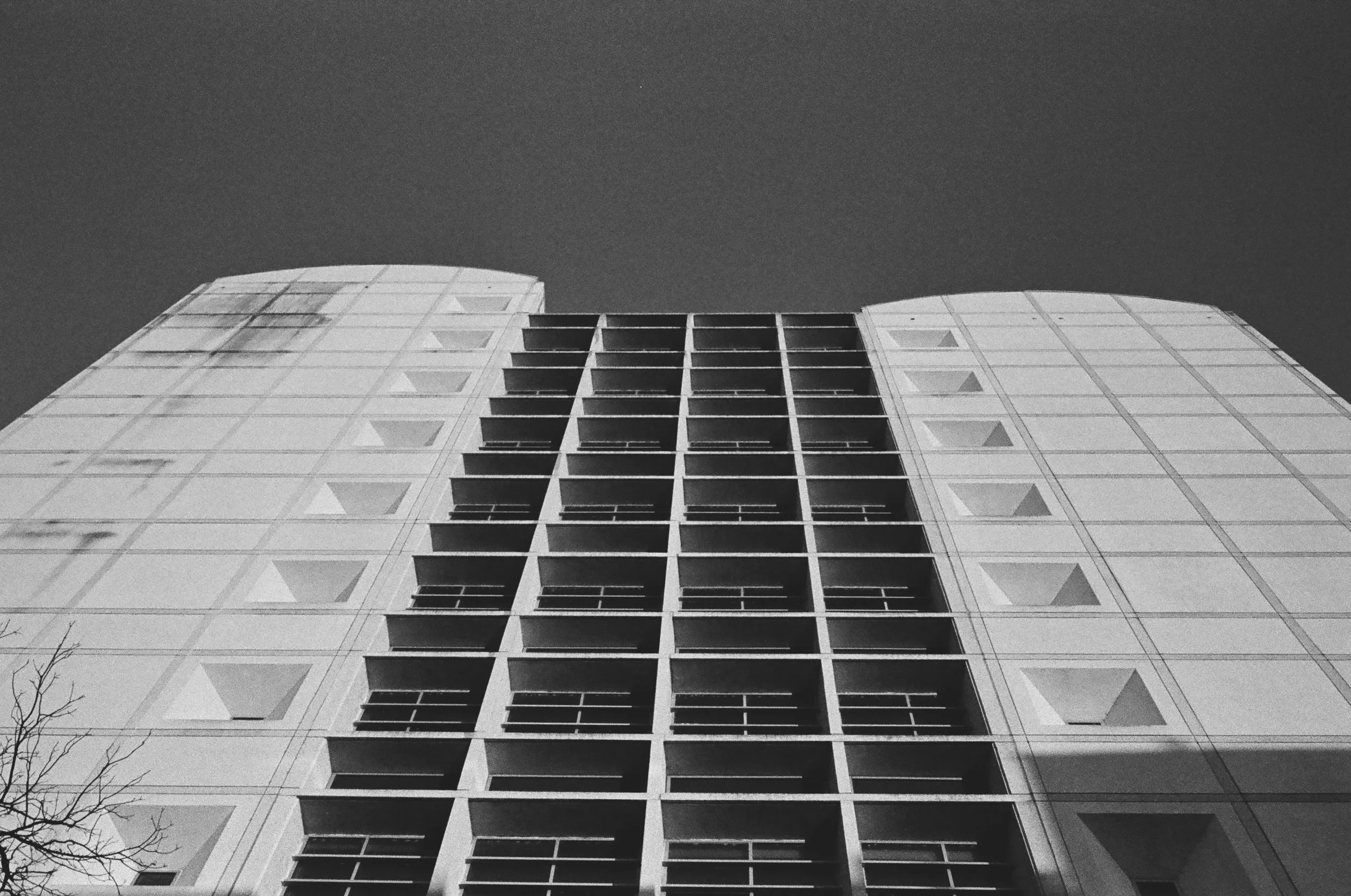 Scan295.JPG