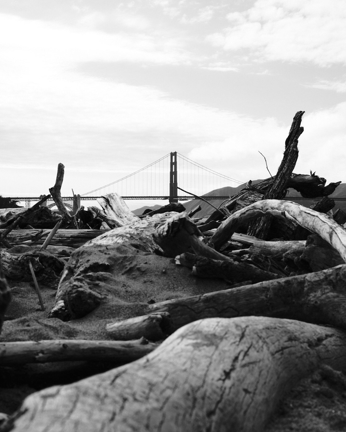 8EEFE757-3FD8-45DD-A7E2-F47126A6C4C8.JPG