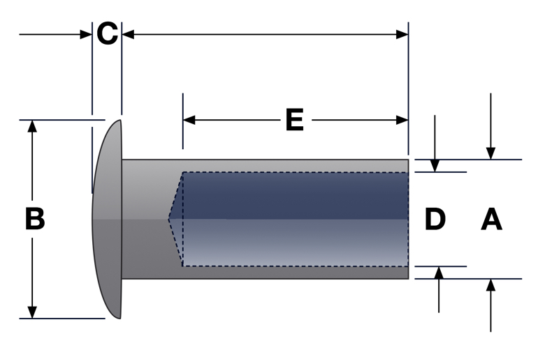Oval Head