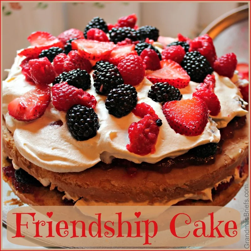 Friendship Cake