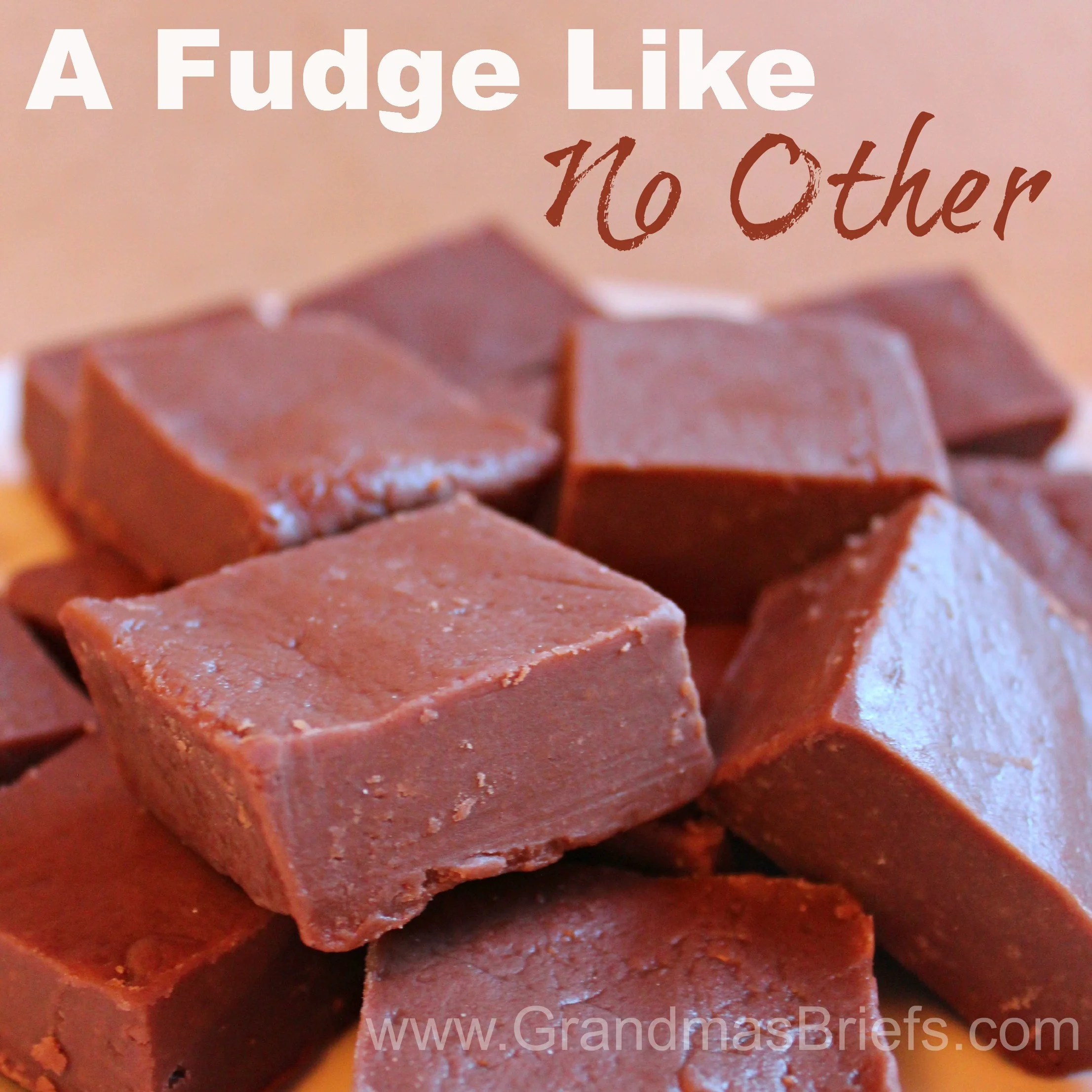 A Fudge Like No Other