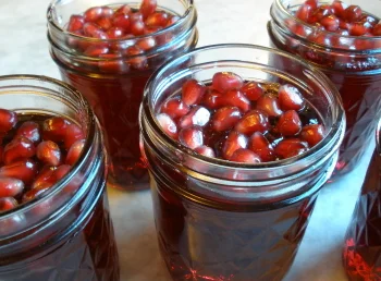 Pomegranate Refrigerator Jelly