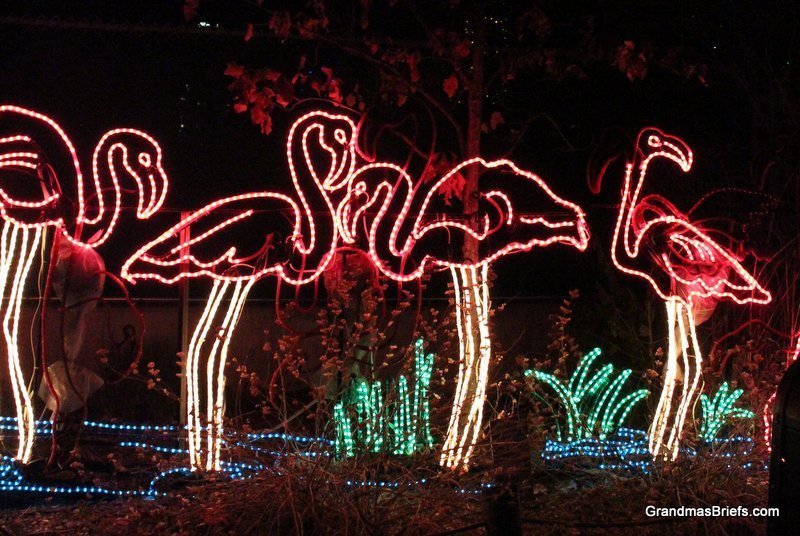 zoo+lights+19.jpg