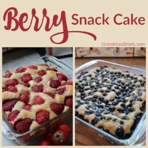Berry Snack Cake.jpg