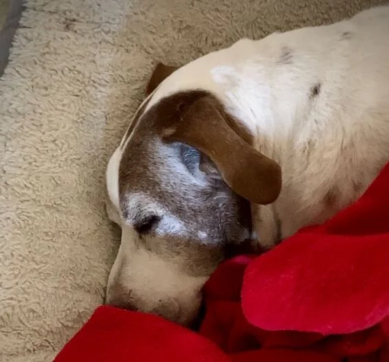 Sick old man