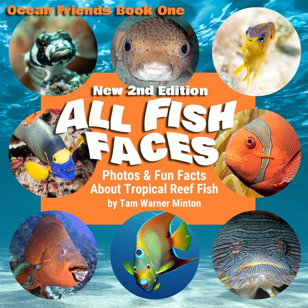 New 2nd Edition of All Fish Faces includes new photos, facts, and tips for saving our oceans (guest post)