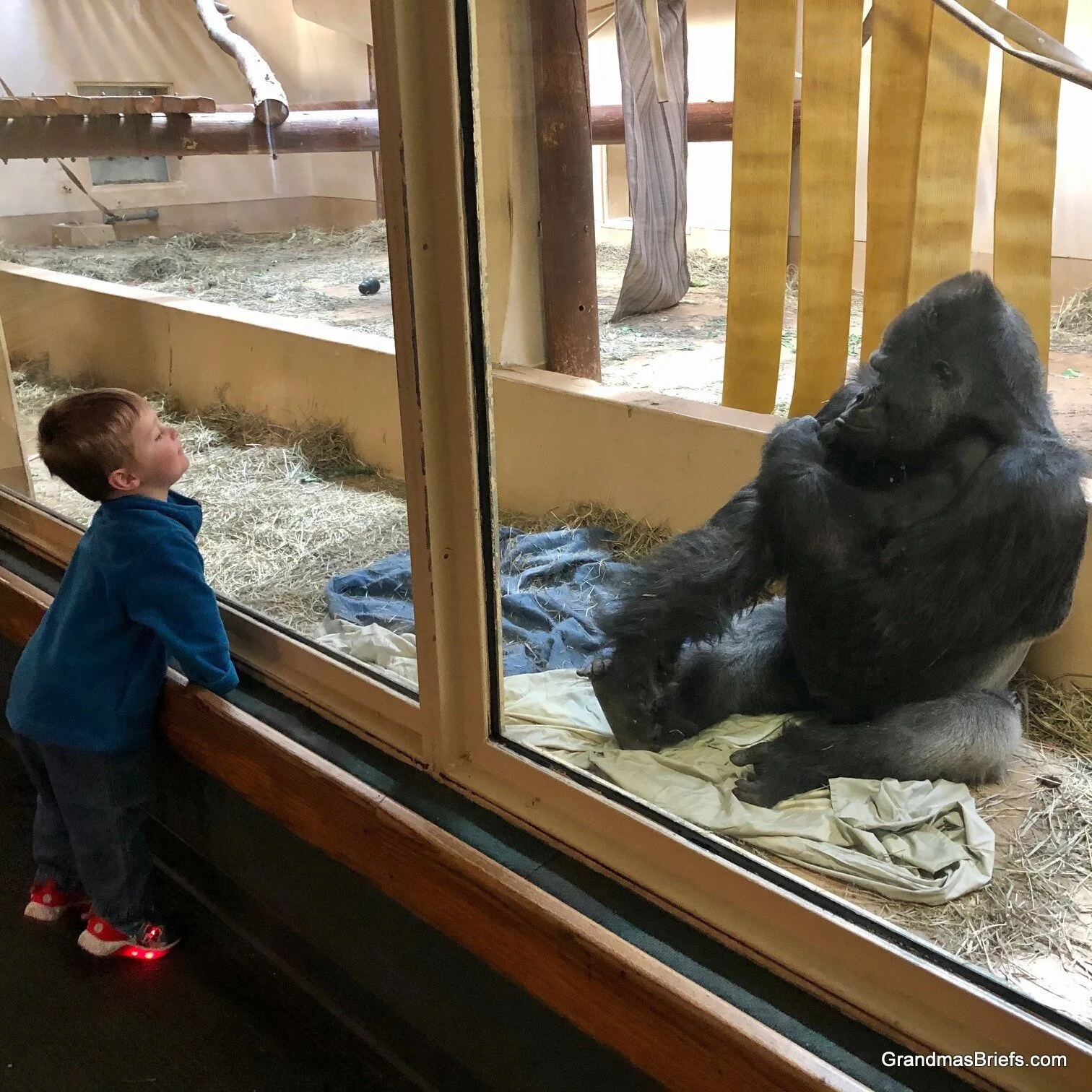 Pic of the week: Wild connection