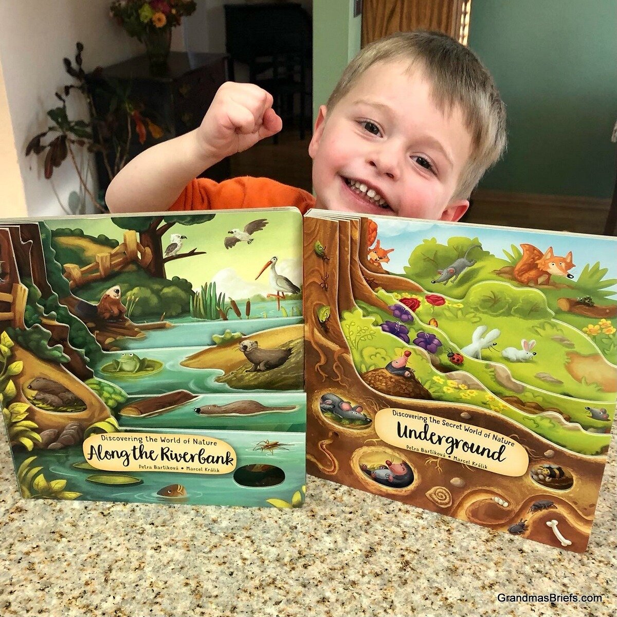 Four books, two reviews: Must-get reads for grands