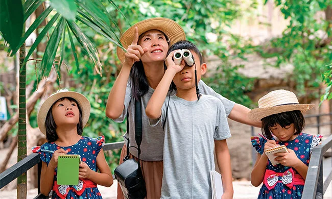 Family-friendly ideas for summer fun with grandchildren