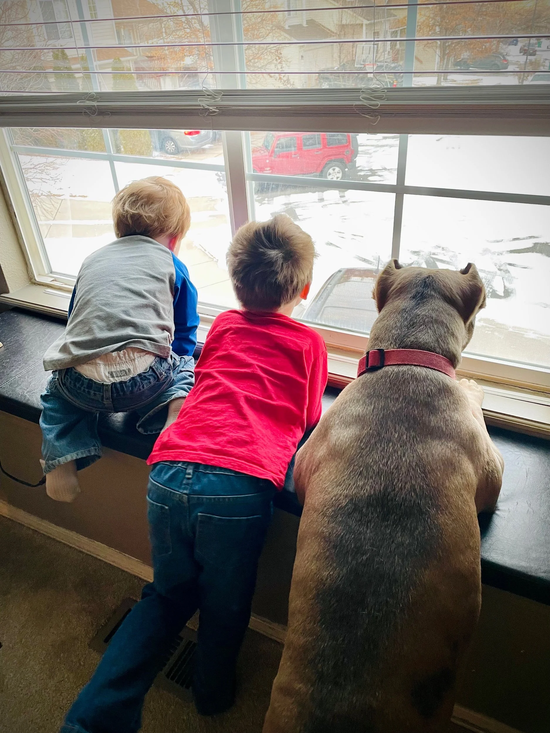 Pic of the week: Mommy’s here!